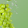 6000 puff / Aloe Grape
