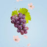 6000 puff / Sakura Grape