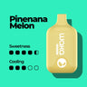 WAKA Smash - 6000 puffs / Pinenana Melon
